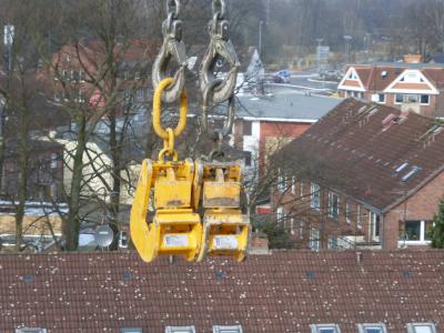 Kranschellen über den Dächern eines Wohnquartiers