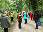 Etwa ein Dutzend Personen auf einem Waldweg. Die Gruppe steht im Halbkreis um eine Referentin herum, die links am Wegesrand steht und spricht. Etwa ein Dutzend Personen auf einem Waldweg. Die Gruppe steht im Halbkreis um eine Referentin herum, die links am Wegesrand steht und spricht.