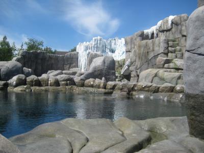 Nachgestellte Eislandschaft im Tierpark Hagenbeck. Nachgestellte Eislandschaft im Tierpark Hagenbeck.