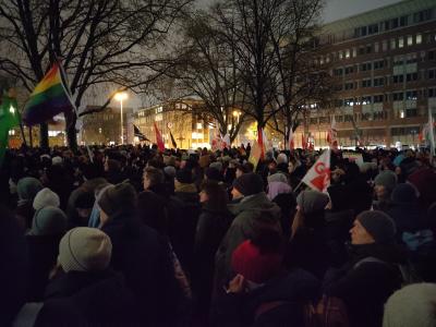 Kundgebung gegen die AfD am 12. Januar in Hamburg (Foto: Harning). Kundgebung gegen die AfD am 12. Januar in Hamburg (Foto: Harning).